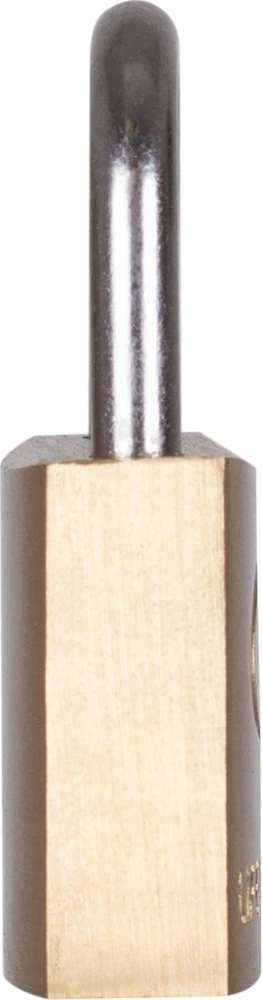 Spynų pora Lifeventure Mini Padlocks (Pack of 2)