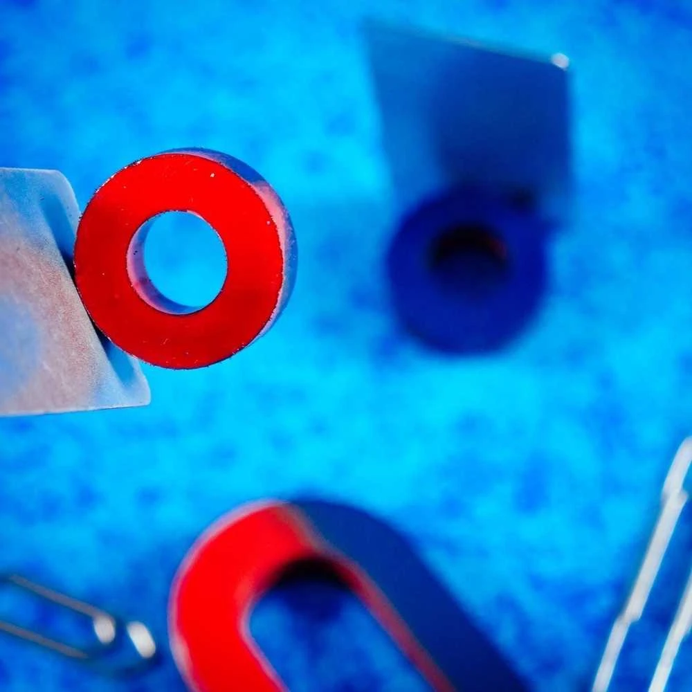 Lisciani Rinkinys Aš esu genialus namų mokymosi rinkinys – magnetizmas