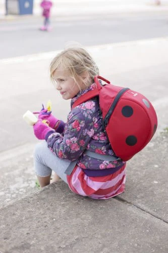 Vaikiška kuprinė LittleLife Big Kids Ladybird