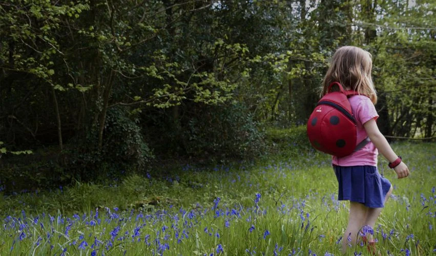 Vaikiška kuprinė LittleLife Big Kids Ladybird