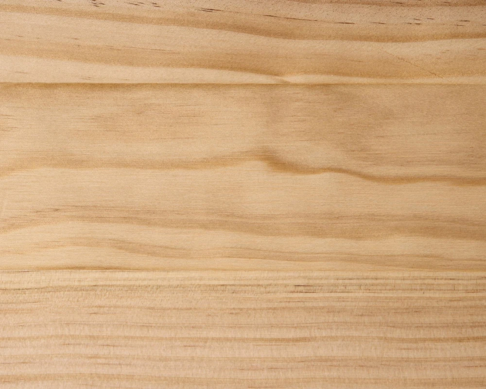 Beliani Medinė dvigulė lova MASCORTEL 180 x 200 cm, šviesiai ruda