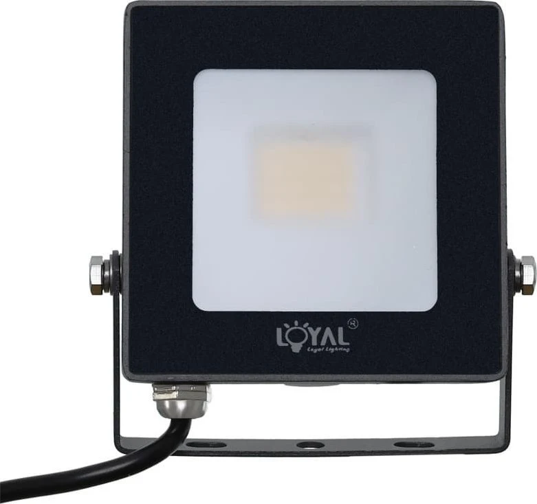 „Loyal Lighting“ lauko LED prožektorius 2800lm LUMILEDS IP65 4K