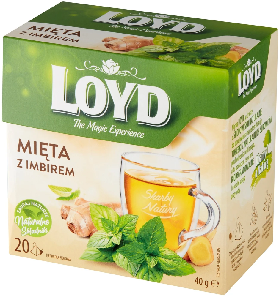 Arbata LOYD, mėtos ir imbiero skonio, 20x2 g