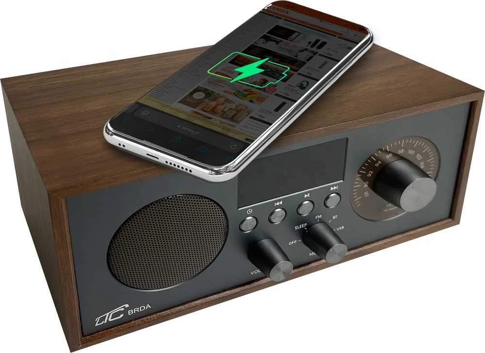 LTC Retro nešiojamas radijas BRDA FM/BT/USB, akum. 2200mAh, 10W, indukcinis telefono įkrovimas, ruda/grafitas