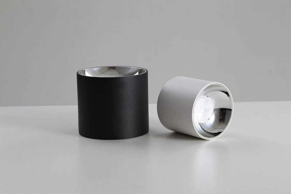 Lubinis šviestuvas Blaupunkt ROLLER DLW10, metalinis lubinis šviestuvas, LED įleidžiamas šviestuvas, 10 W, 4000 K, baltas vamzdelis