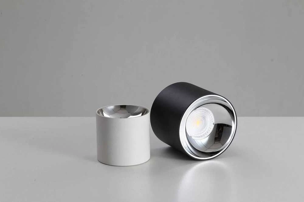 Lubinis šviestuvas Blaupunkt ROLLER DLW10, metalinis lubinis šviestuvas, LED įleidžiamas šviestuvas, 10 W, 4000 K, baltas vamzdelis