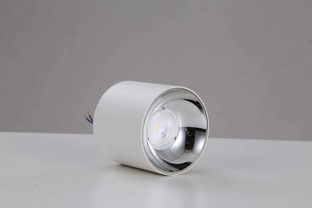 Lubinis šviestuvas Blaupunkt ROLLER DLW10, metalinis lubinis šviestuvas, LED įleidžiamas šviestuvas, 10 W, 4000 K, baltas vamzdelis