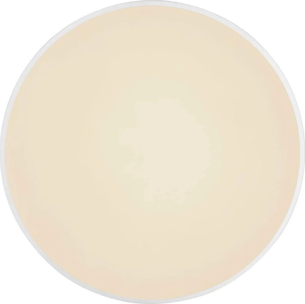 Globo Toys „Globo“ lubinis šviestuvas Minimalistinis lubinis šviestuvas SONNY 41586-24 „Globo“ apvalus LED 24W 3000K - 6000K svetainei, sidabrinis