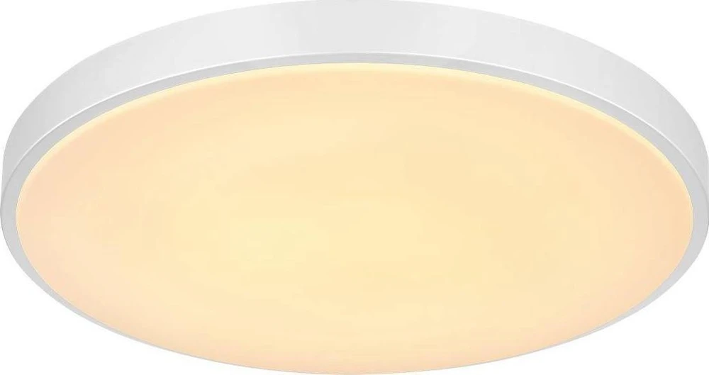 Globo Toys „Globo“ lubinis šviestuvas Minimalistinis lubinis šviestuvas SONNY 41586-24 „Globo“ apvalus LED 24W 3000K - 6000K svetainei, sidabrinis