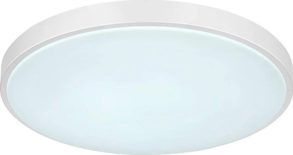 Globo Toys „Globo“ lubinis šviestuvas Minimalistinis lubinis šviestuvas SONNY 41586-24 „Globo“ apvalus LED 24W 3000K - 6000K svetainei, sidabrinis