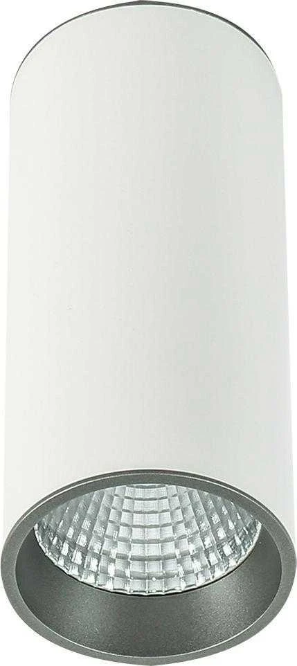 Lubinis šviestuvas Italux 12W LED paviršinis šviestuvas MOLDES BIG, baltos/pilkos sp., 3000K