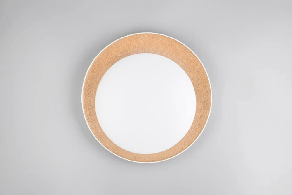 Lubinis šviestuvas „Reality“. LED. 24 W. 2700–6500 K. 2500 lm. Ø45