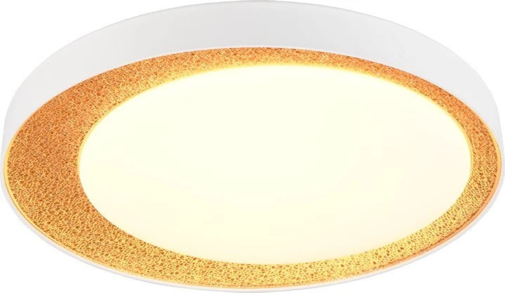 Lubinis šviestuvas „Reality“. LED. 24 W. 2700–6500 K. 2500 lm. Ø45