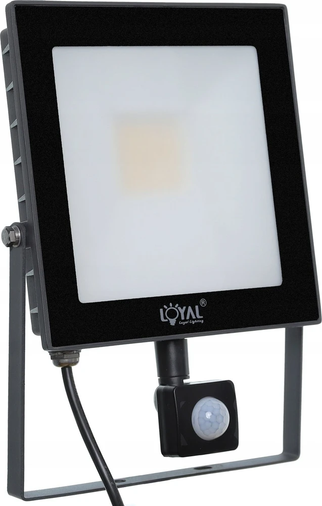 Lubinis šviestuvas Loyal Lighting ML lauko LED lempa 4250 lm LUMILEDS IP65 4K jutiklis