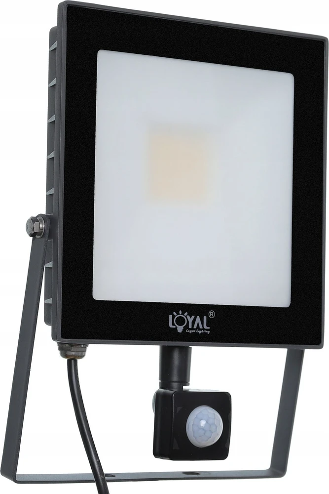 Lubinis šviestuvas Loyal Lighting ML lauko LED lempa 4250 lm LUMILEDS IP65 4K jutiklis