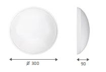 Lubinis šviestuvas Lena Lighting Camea 1x20W LED lubų lempa (205248/HV)