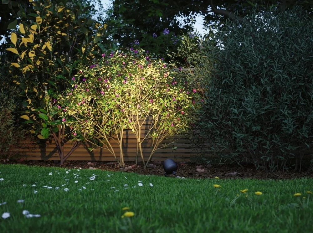 Lubinis šviestuvas Paulmann Garden prožektorius Plug & Shine KIKOLO LED 7.2W 20 laipsnių. 460lm 3000K IP65 24V antracitas