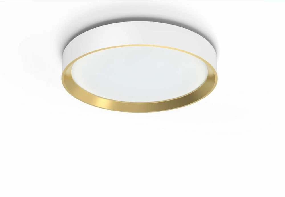 Lubinis šviestuvas Šviestuvas lubų Philips 929004116001, 24 W, LED, 2700 °K