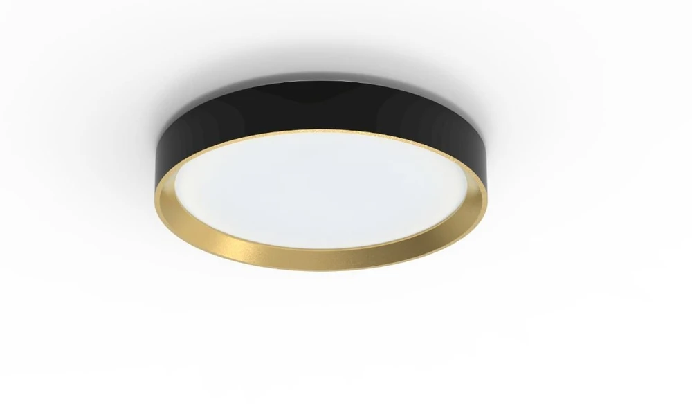 Lubinis šviestuvas Šviestuvas lubų Philips 929004115901, 24 W, LED, 4000 °K