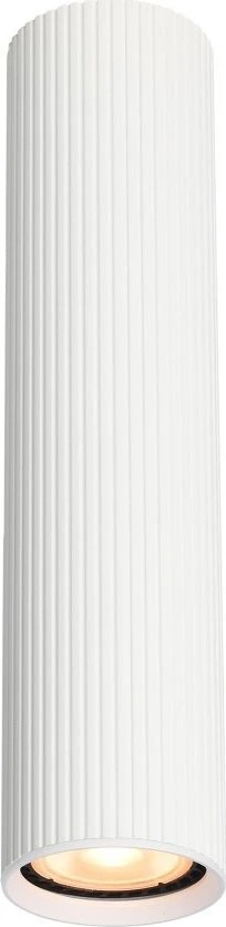 Lubinis šviestuvas Tk_Lighting Šviestuvas lubų TK Lighting Tune 10027, GU10, baltas