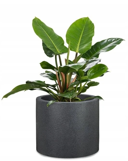 Lumarko FLOWERPOT PLAS 130/30 Juodas-granit D30