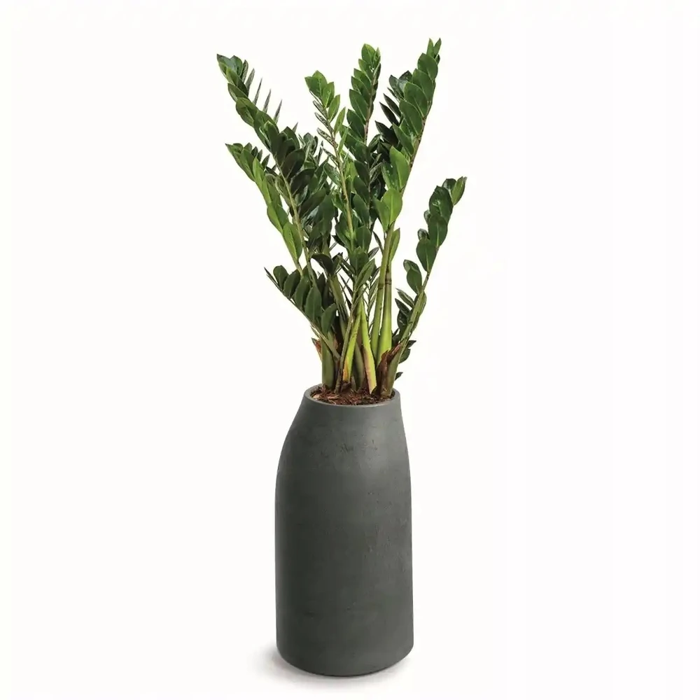 Nezatříděno Lumarko FLOWERPOT PLAST EPOCCO MILD TEP38M-107GR
