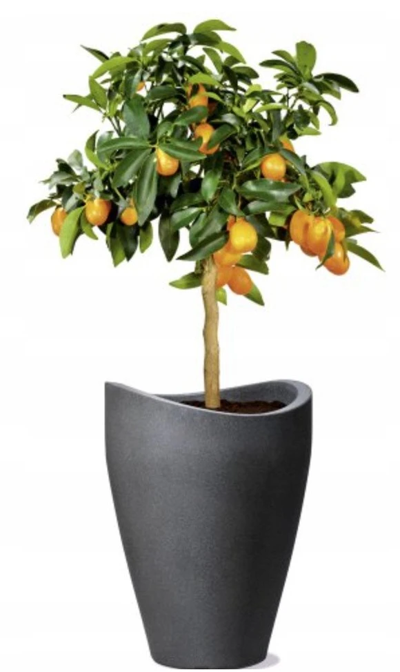 Lumarko FLOWERPOT PLASTIC 254/67 STONY Pilkas D67