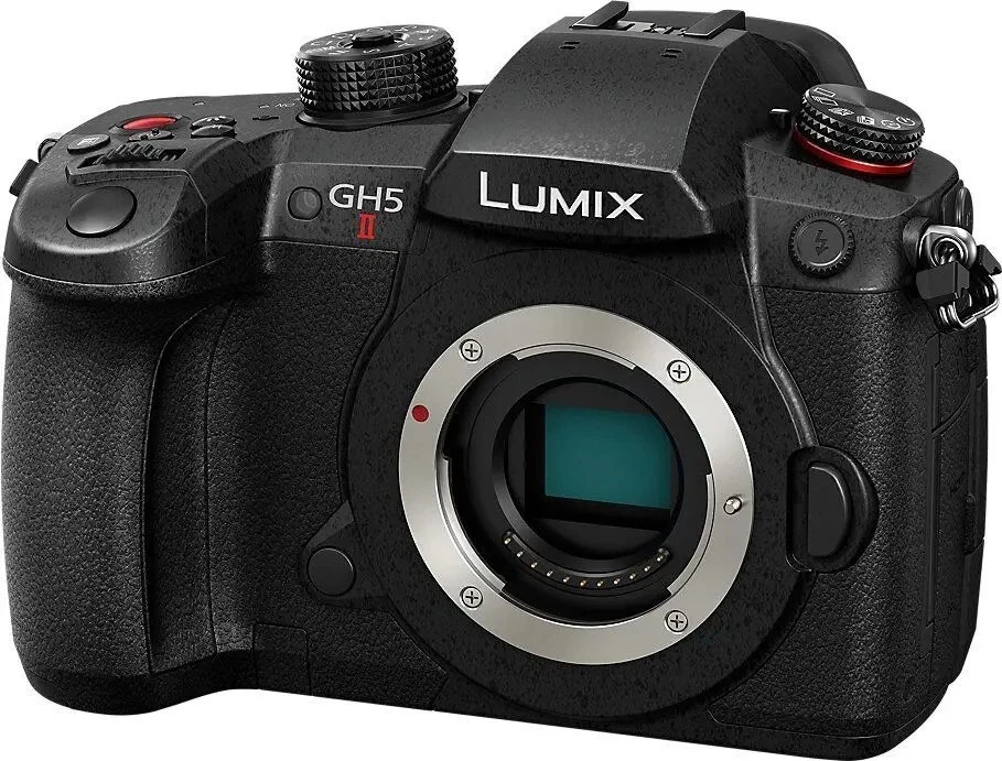 Panasonic Lumix G GH5 II (DC-GH5M2M) + Panasonic LUMIX G Vario 12-60mm f/3.5-5.6 Asph. Power OIS (H-FS12060) (Juodas)