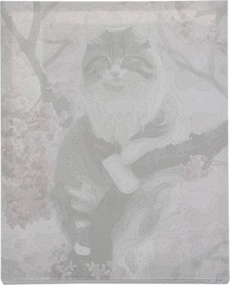Maaleo Tapyba pagal skaičius - Katė 40X50CM PREMIUM