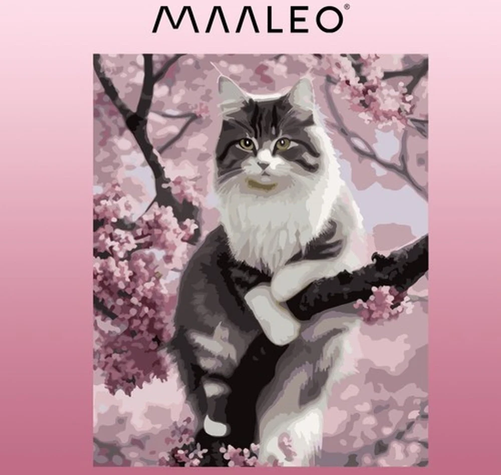Maaleo Tapyba pagal skaičius - Katė 40X50CM PREMIUM