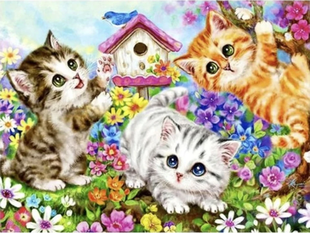 Maaleo Tapyba pagal skaičius - Kačiukai 40X50CM PREMIUM