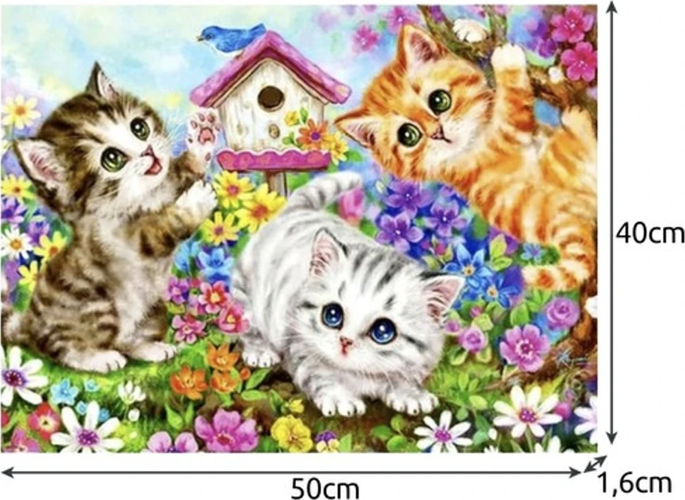 Maaleo Tapyba pagal skaičius - Kačiukai 40X50CM PREMIUM