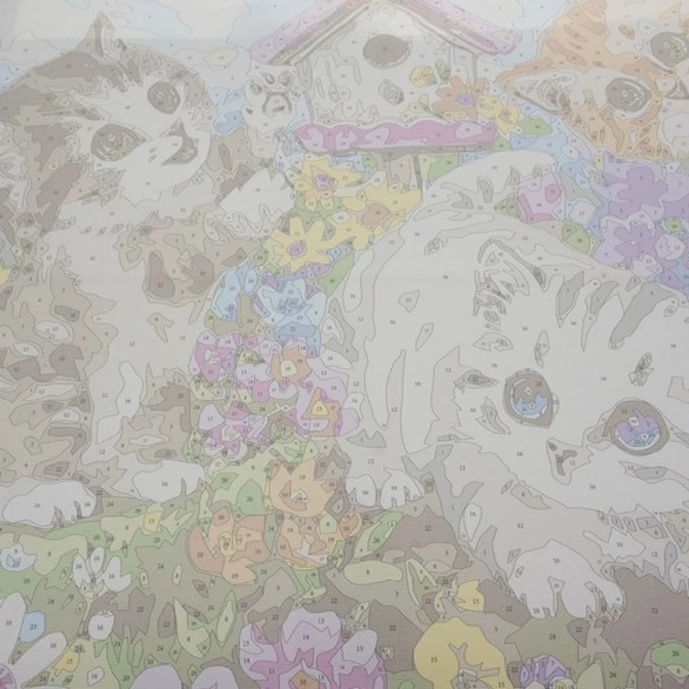 Maaleo Tapyba pagal skaičius - Kačiukai 40X50CM PREMIUM