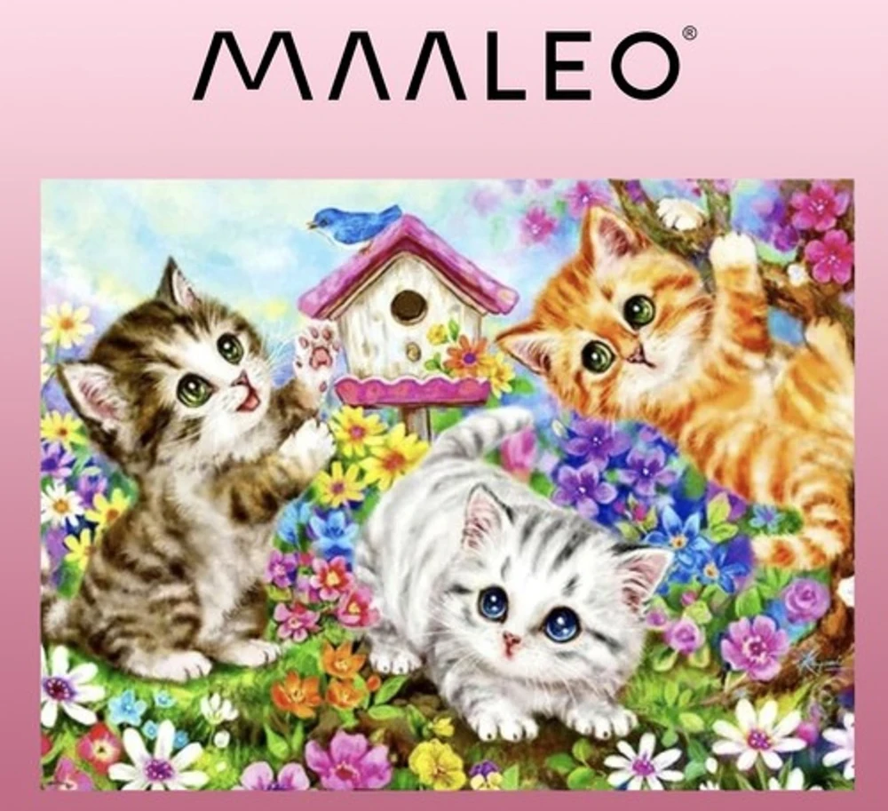 Maaleo Tapyba pagal skaičius - Kačiukai 40X50CM PREMIUM