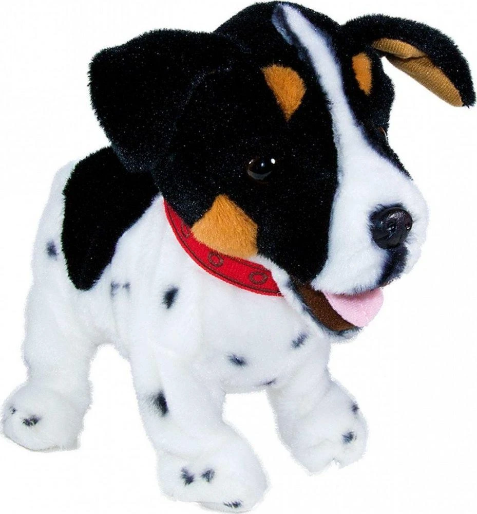 Madej Interaktyvus talismanas Figo šuo reaguoja į Jack Russell Terrier komandas