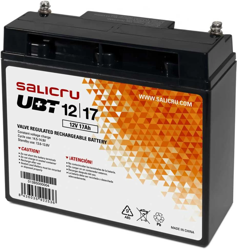 Salicru Maitinimo šaltinis awaryjny UPS Interaktyvus Salicru 013BS000004 12 V
