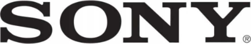 Sony AC ADAPTERIS (100 W) (ACDP-100D01)