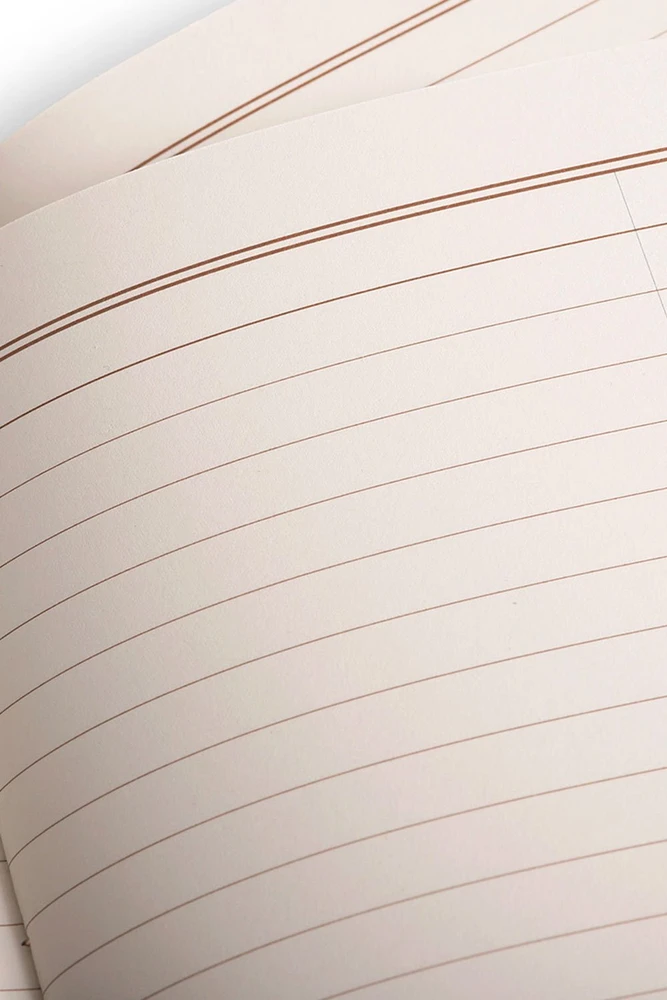 Make Notes „Field Notes Lucky 3 Pack“ sąskaitų knygelės (FNC-70)