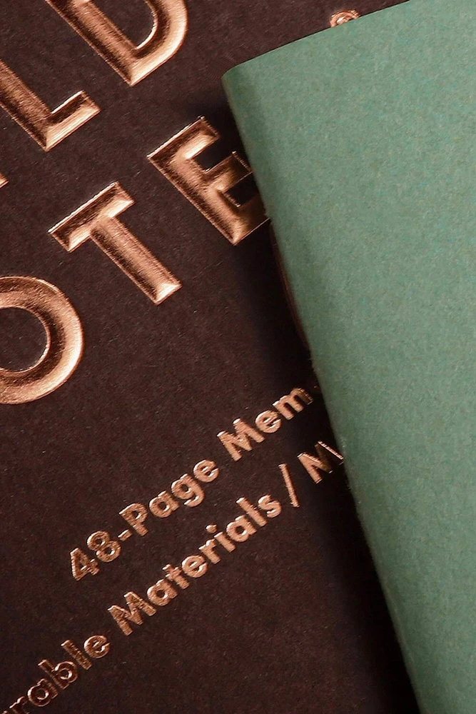 Make Notes „Field Notes Lucky 3 Pack“ sąskaitų knygelės (FNC-70)