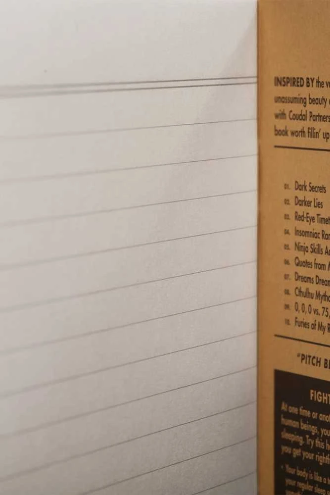 Make Notes Notes Užrašų knygelė Field Notes Pitch Juodas Didelis Linijos 2 vnt