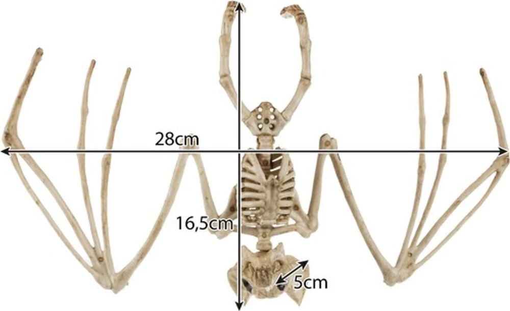 Šikšnosparnio skeletas - dekoracija 30 cm Malatec 22005