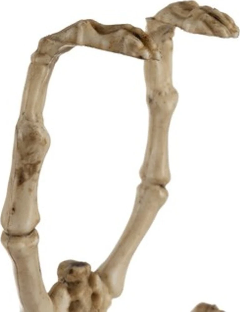 Šikšnosparnio skeletas - dekoracija 30 cm Malatec 22005