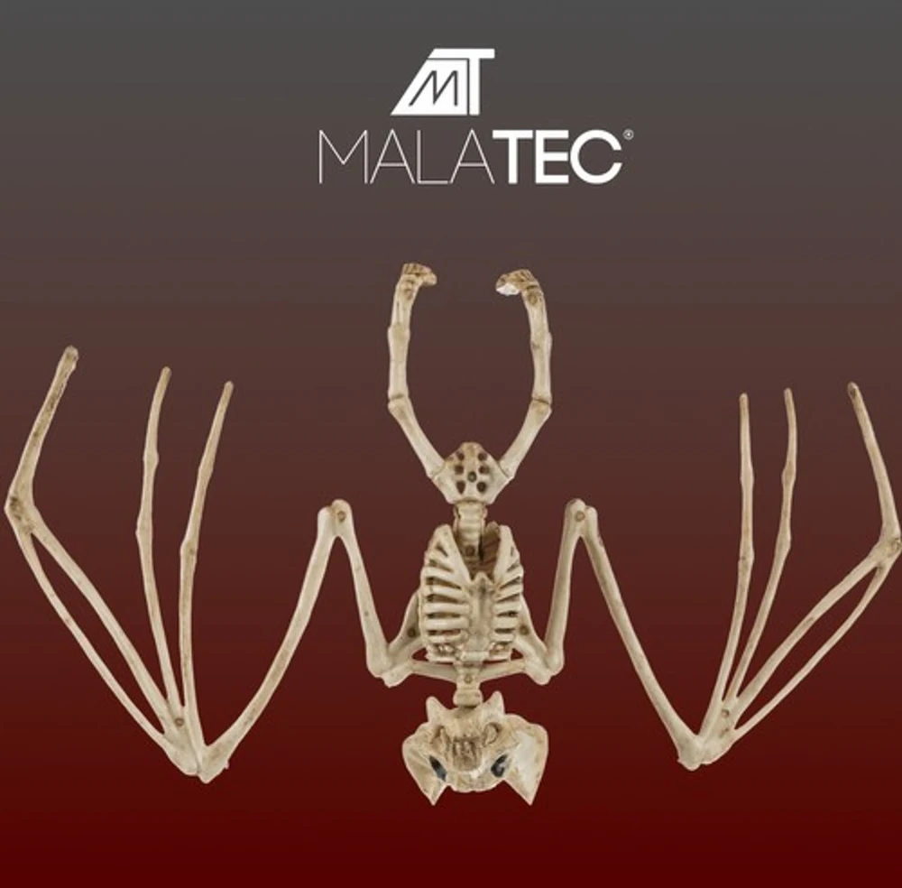 Šikšnosparnio skeletas - dekoracija 30 cm Malatec 22005