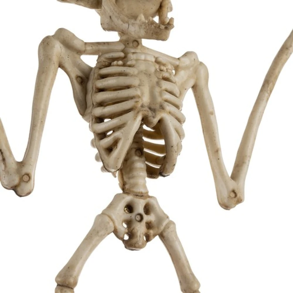 Šikšnosparnio skeletas - dekoracija 30 cm Malatec 22005