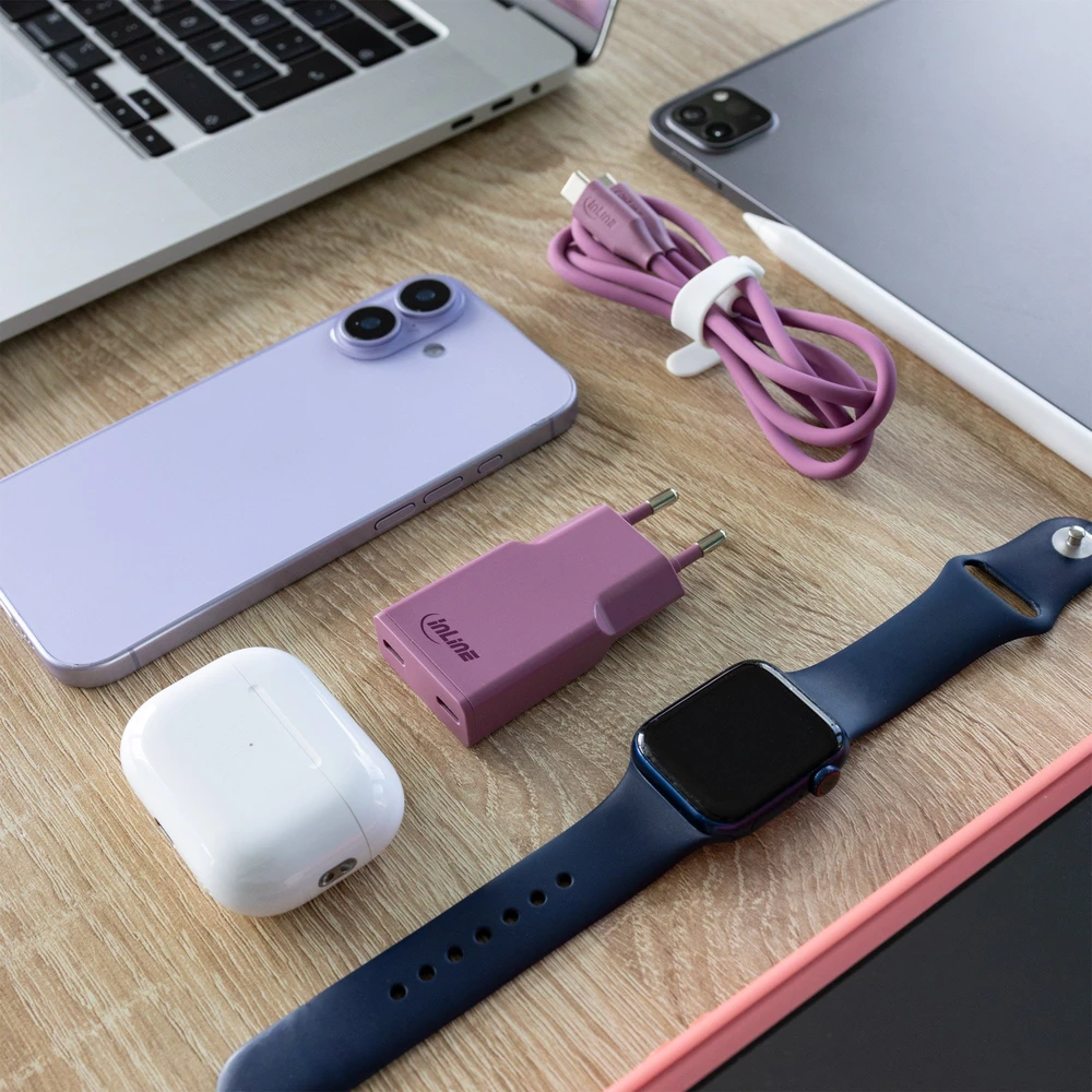 „Manhattan InLine®“ USB-C įkroviklis, 30 W, GaN, dvigubas USB-C, PD/PPS, miško uogų/violetinė spalva