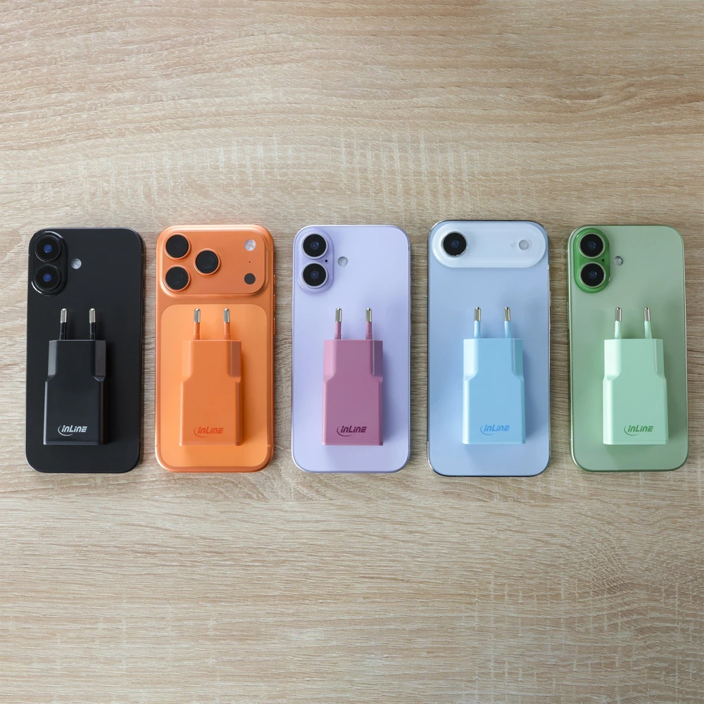 Manhattan InLine® USB-C įkroviklis, 30 W, GaN, dvigubas USB-C, PD/PPS, saldainių spalvos/mėlynas
