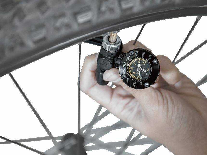 Topeak TSUTG-04 dviračio atsarginė dalis / priedas Slėgio matuoklis