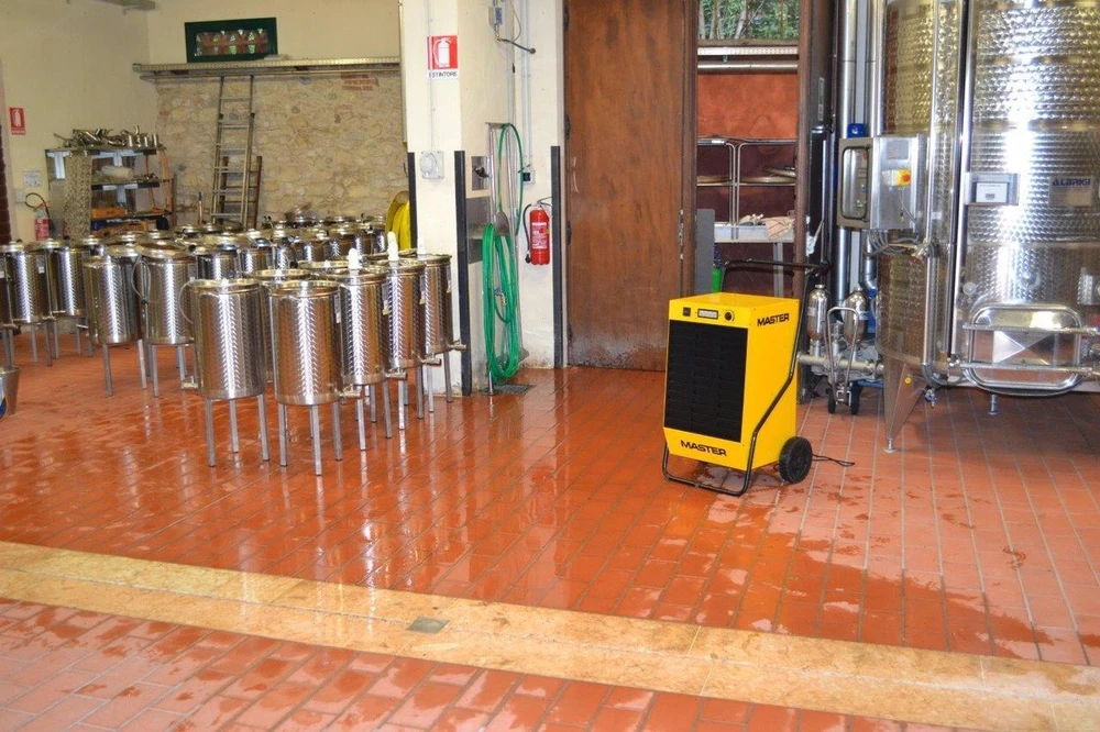 Sausintuvas Buitinis drėgmės surinkėjas Master DH 62; 890 W