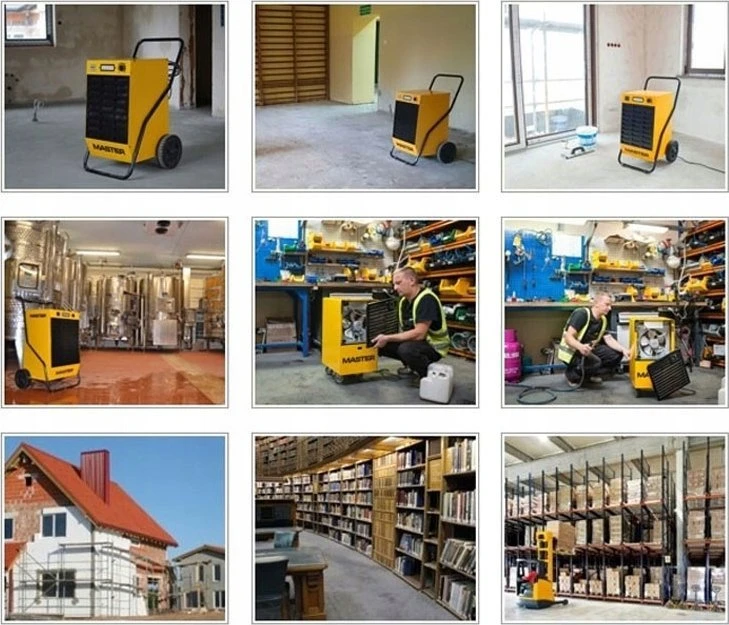 Sausintuvas Buitinis drėgmės surinkėjas Master DH 62; 890 W