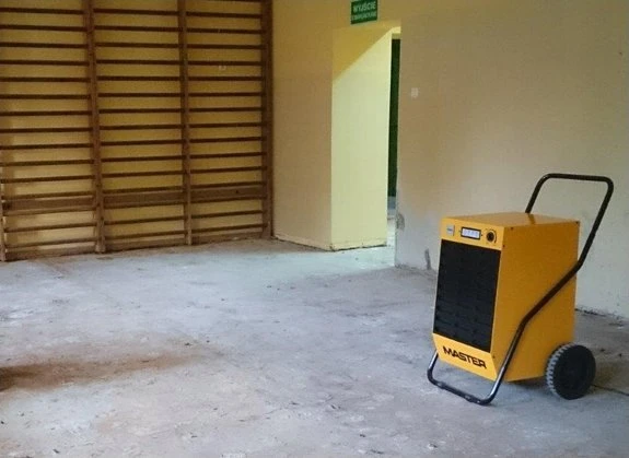 Sausintuvas Buitinis drėgmės surinkėjas Master DH 62; 890 W